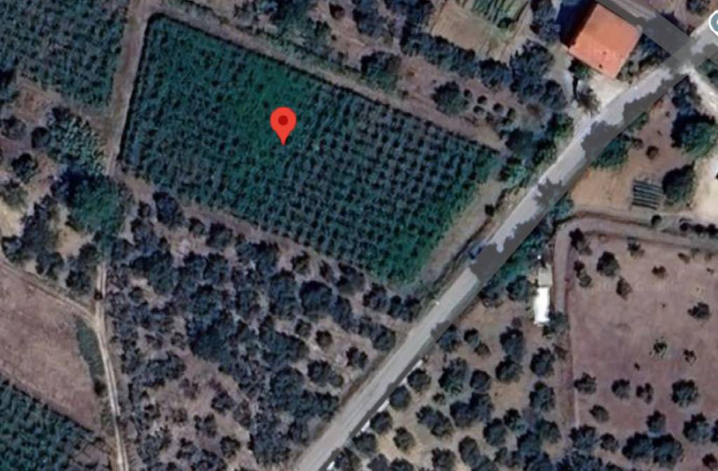 immagine annuncio 7 di 11