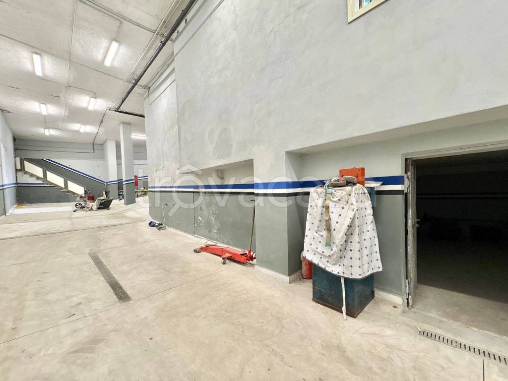 immagine annuncio 9 di 15