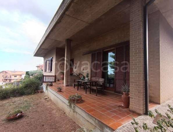 immagine annuncio 2 di 12