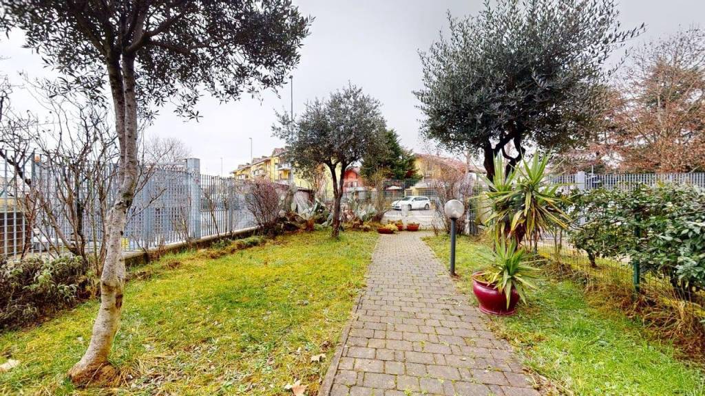 immagine annuncio 1 di 15