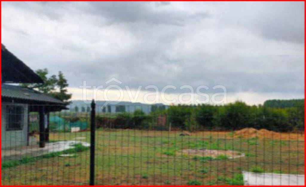 immagine annuncio 3 di 12