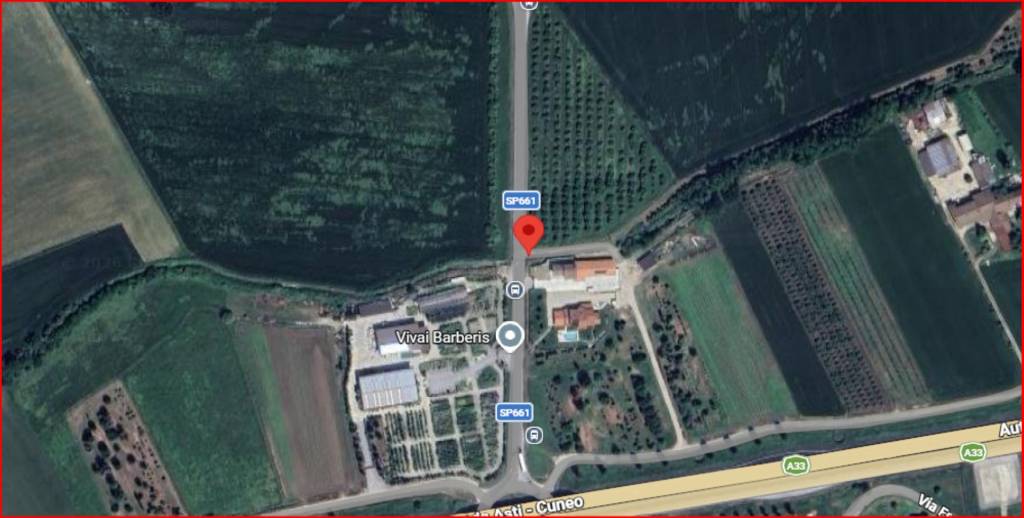 immagine annuncio 11 di 12