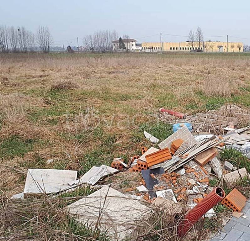 immagine annuncio 3 di 11