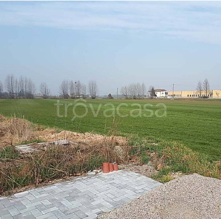 immagine annuncio 4 di 11