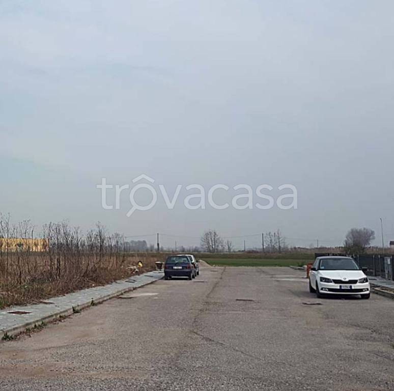 immagine annuncio 6 di 11