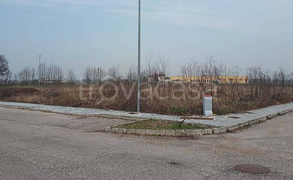 immagine annuncio 8 di 11