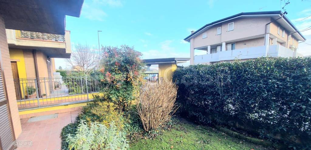 immagine annuncio 5 di 15