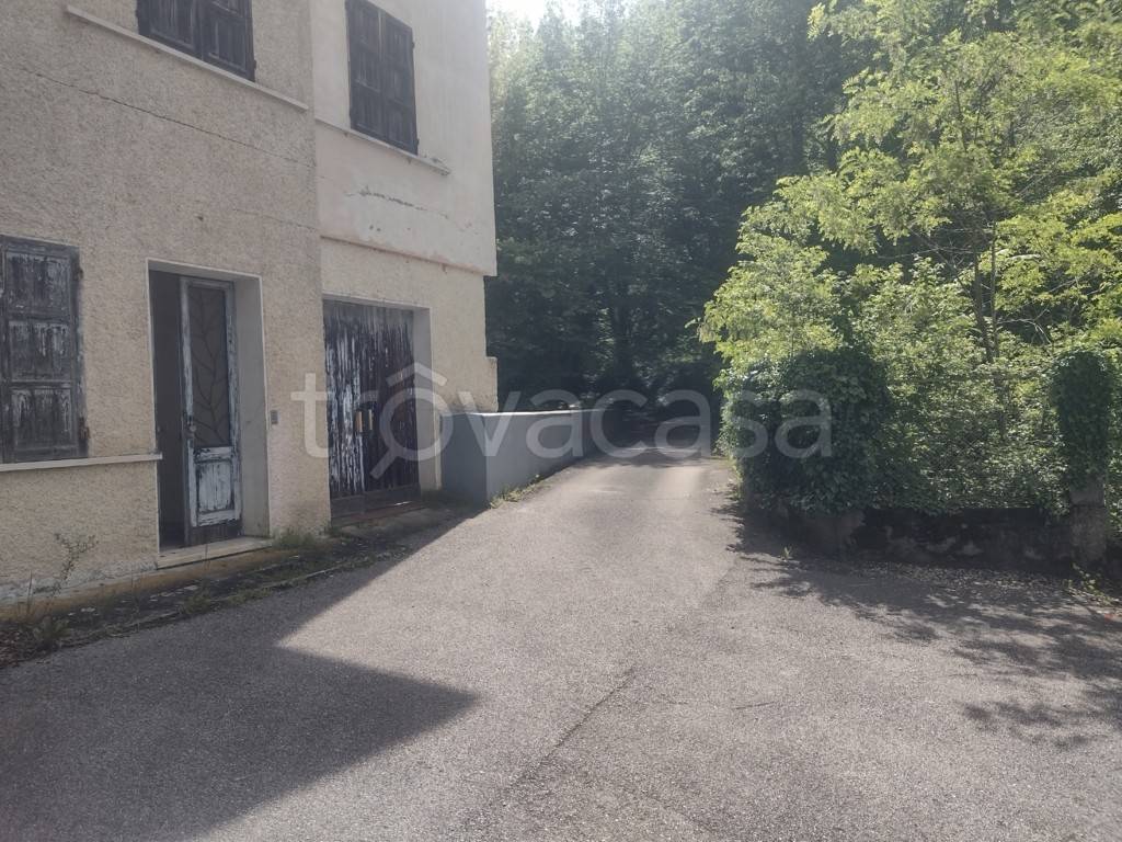 immagine annuncio 4 di 14