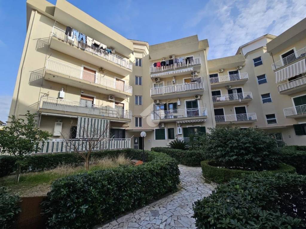 immagine annuncio 12 di 14