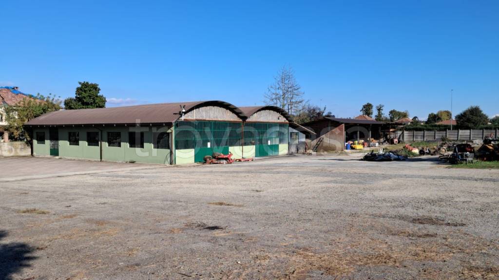 immagine annuncio 6 di 15