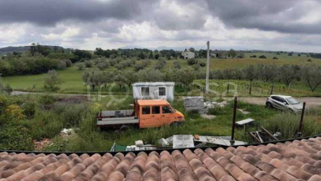 immagine annuncio 7 di 13