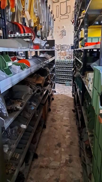 immagine annuncio 11 di 15