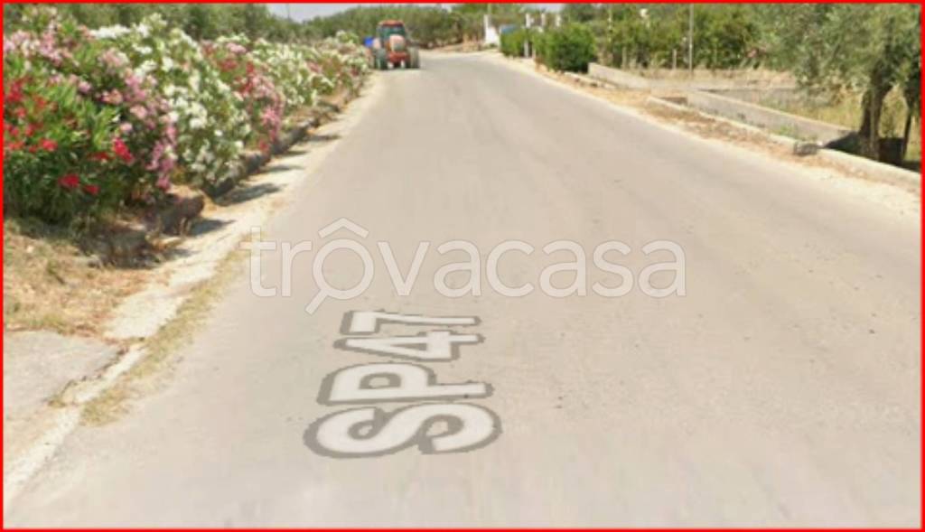 immagine annuncio 6 di 12