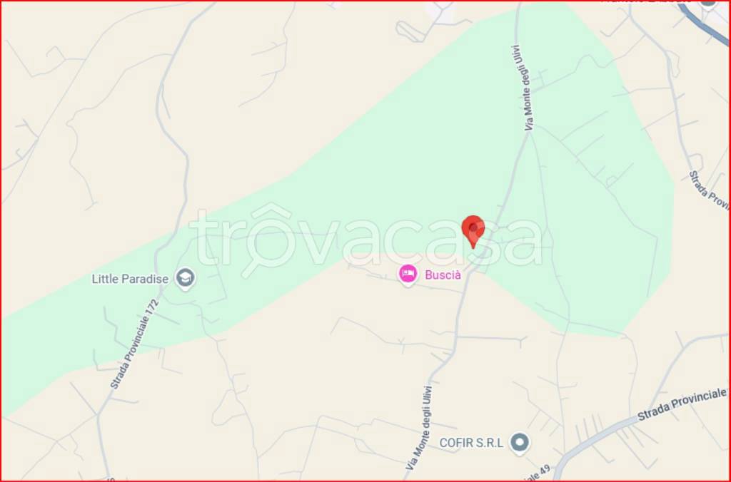 immagine annuncio 10 di 12