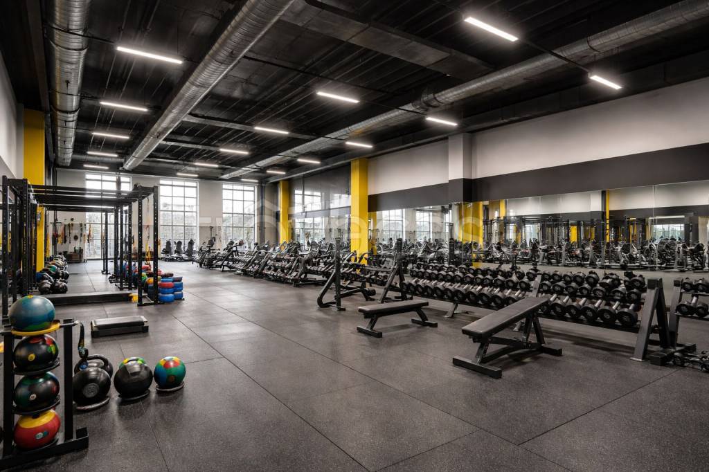 immagine annuncio 3 di 4