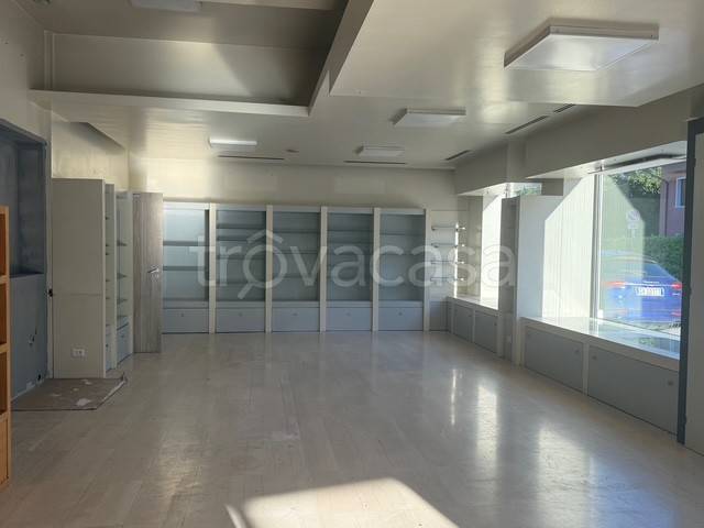 immagine annuncio 4 di 7