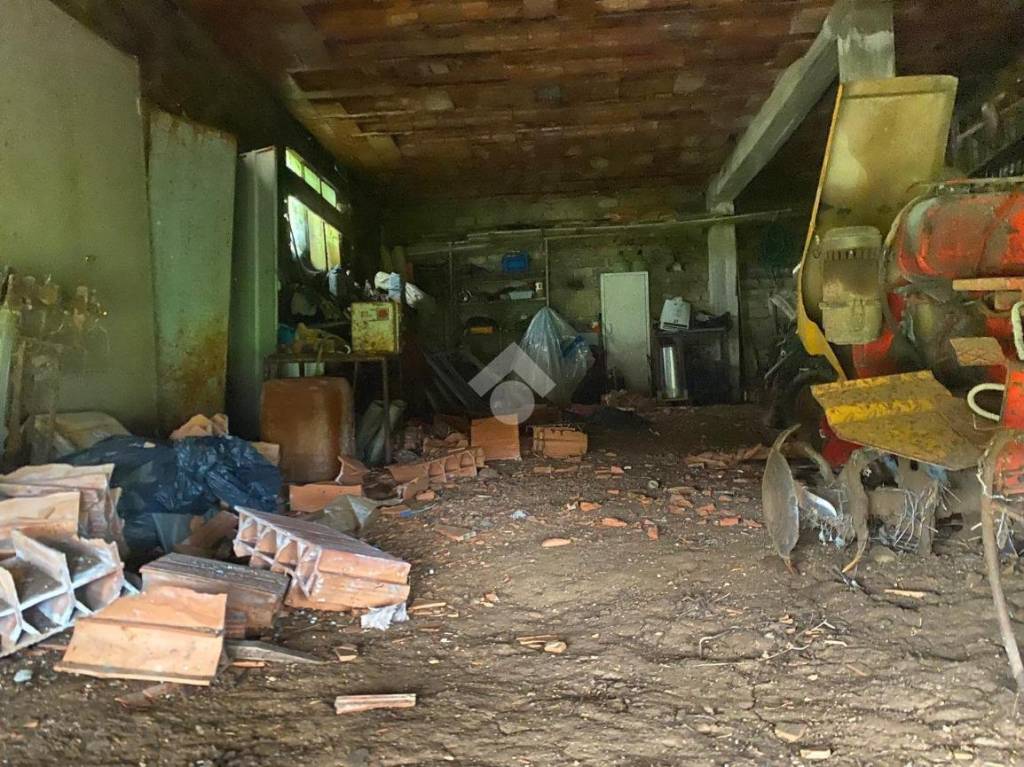 immagine annuncio 3 di 14