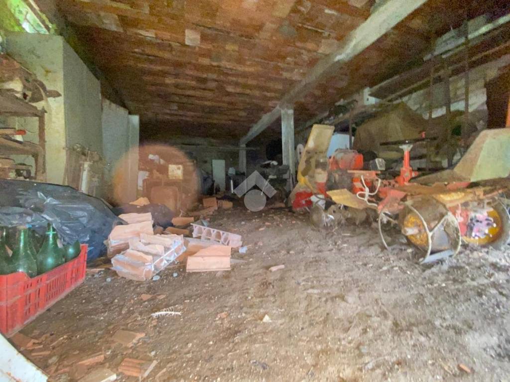 immagine annuncio 5 di 14