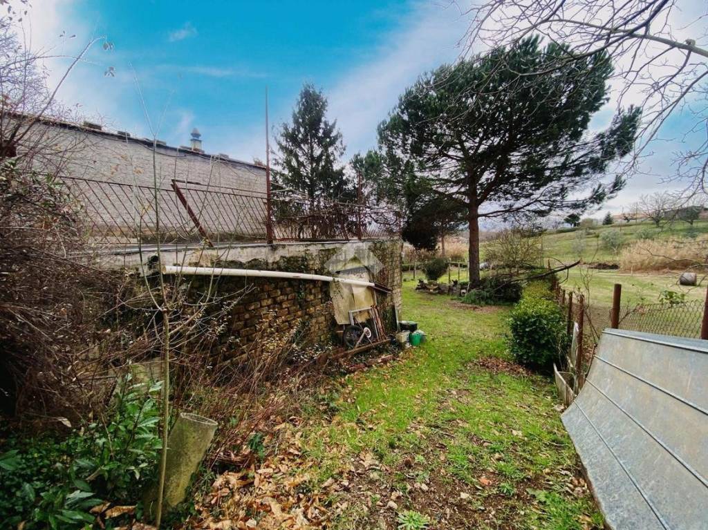 immagine annuncio 9 di 14