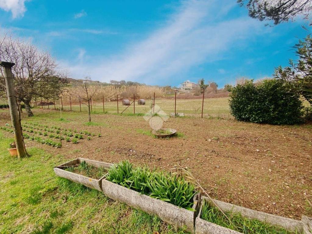 immagine annuncio 10 di 14