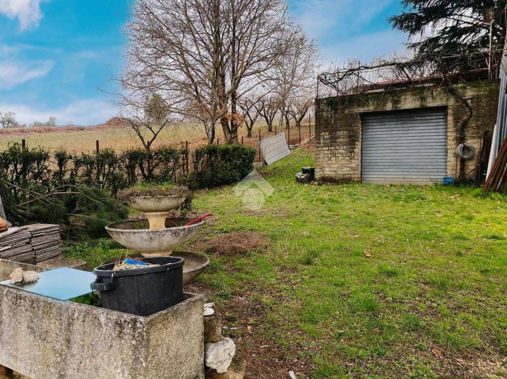 immagine annuncio 11 di 14