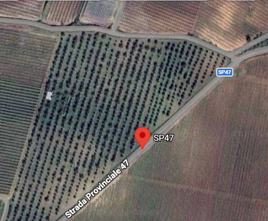 immagine annuncio 3 di 12