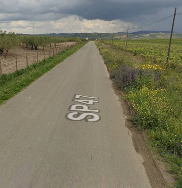 immagine annuncio 11 di 12