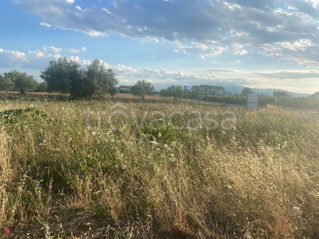 immagine annuncio 2 di 8