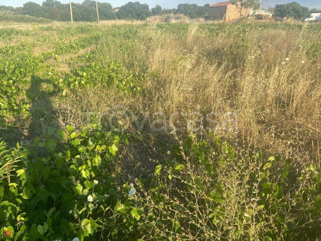 immagine annuncio 3 di 8