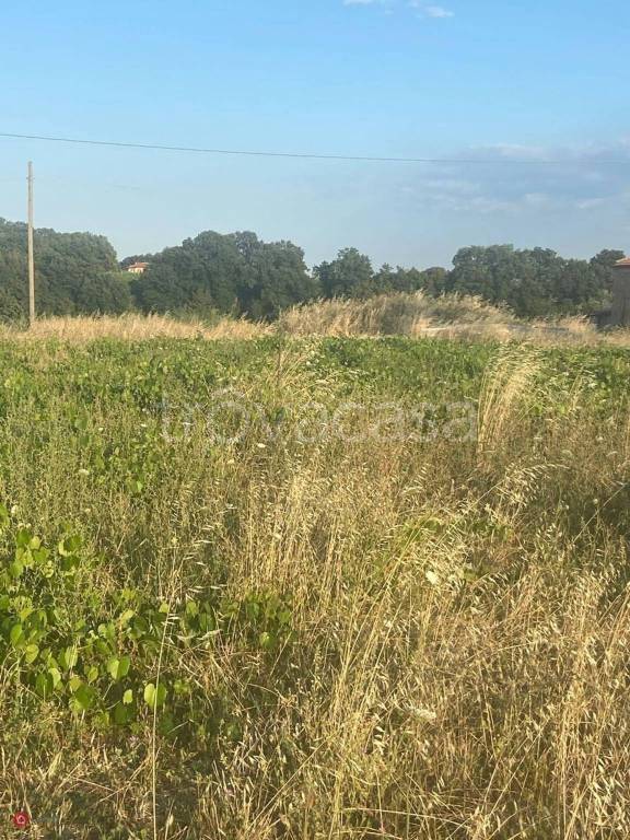 immagine annuncio 4 di 8