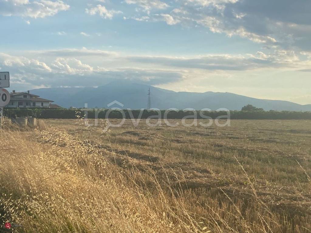 immagine annuncio 6 di 8