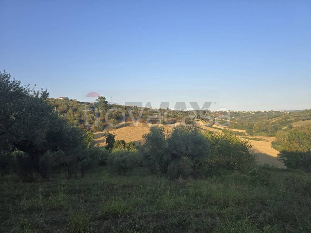 immagine annuncio 5 di 11