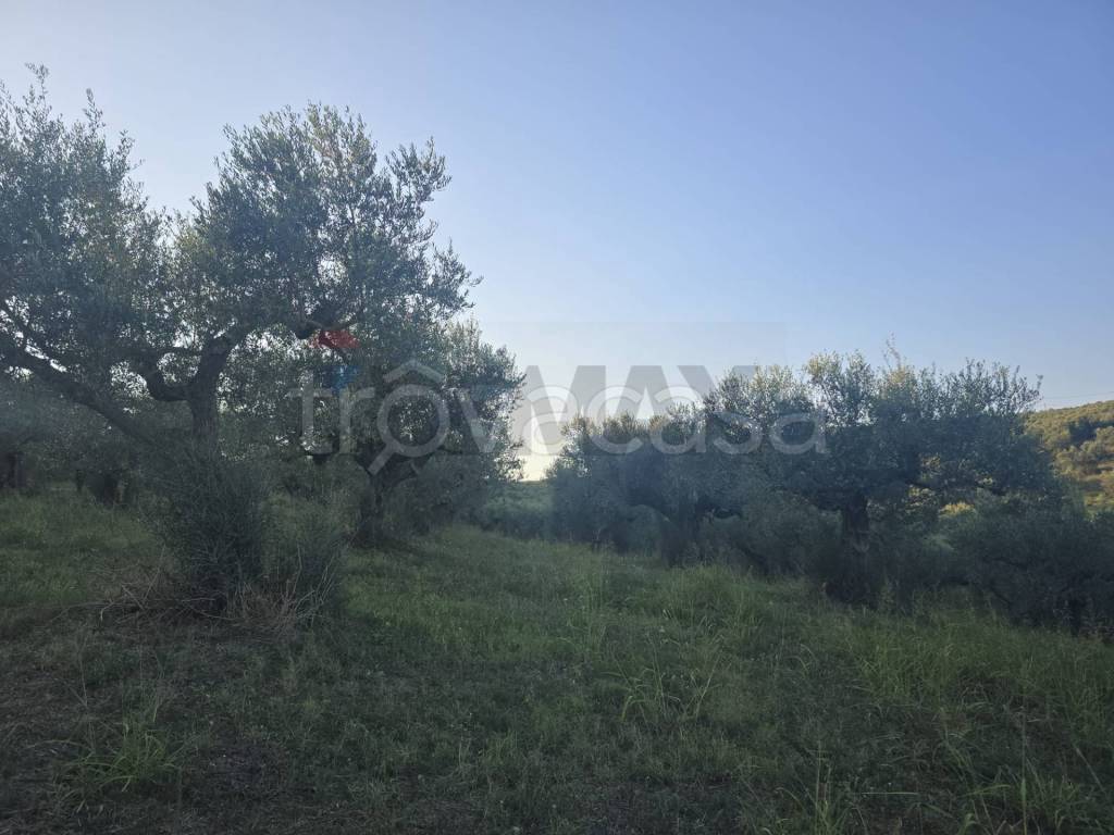 immagine annuncio 7 di 11