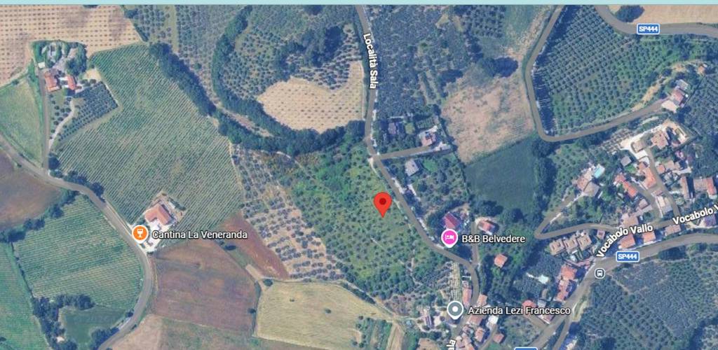 immagine annuncio 2 di 11