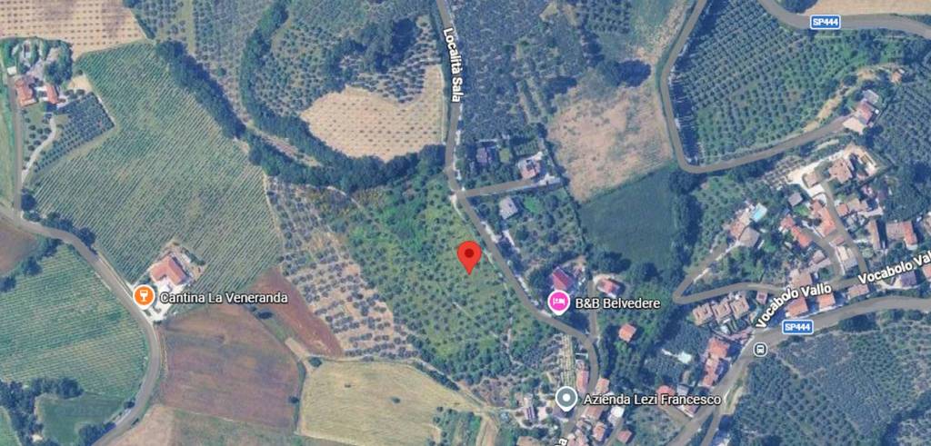 immagine annuncio 3 di 11