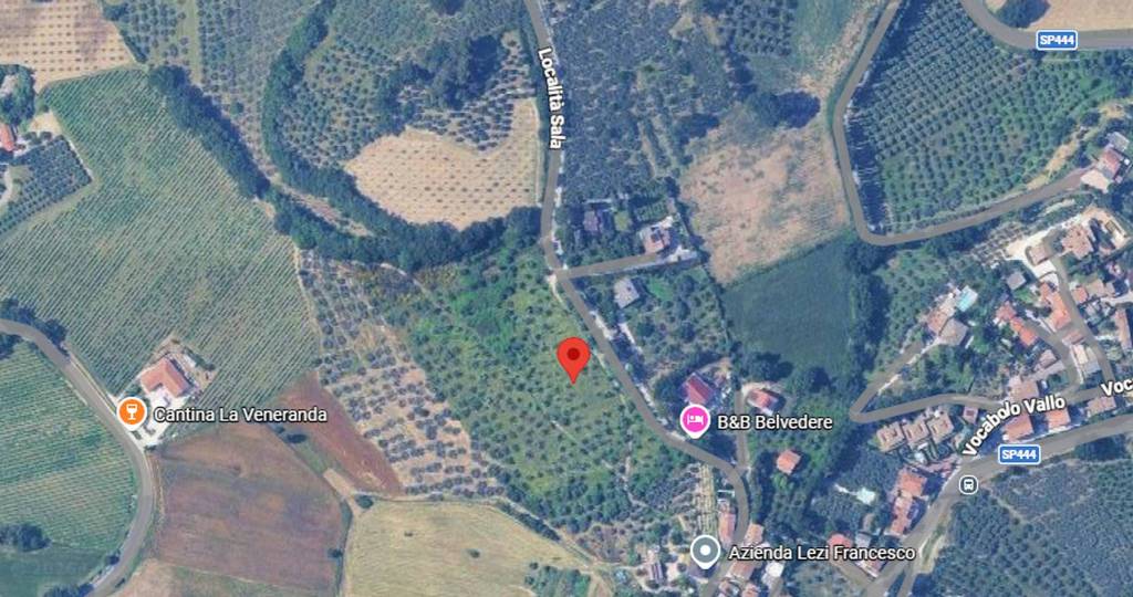 immagine annuncio 4 di 11