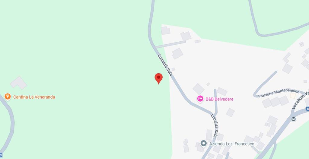 immagine annuncio 5 di 11