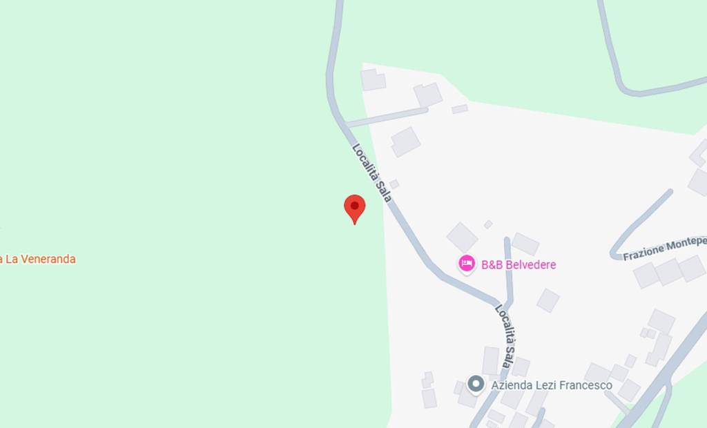 immagine annuncio 6 di 11