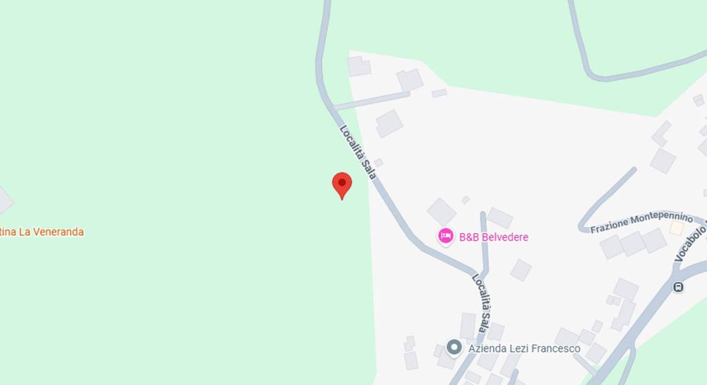 immagine annuncio 7 di 11