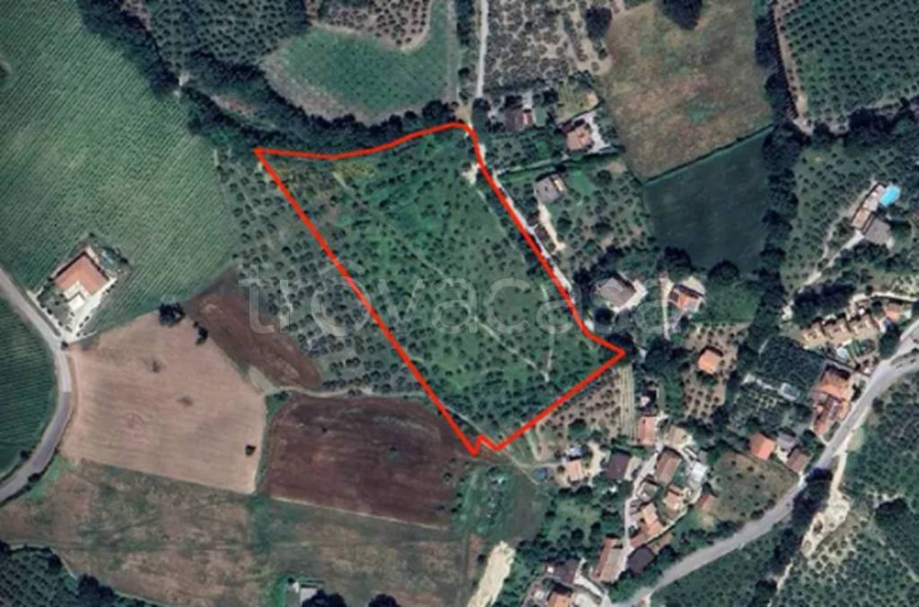 immagine annuncio 10 di 11