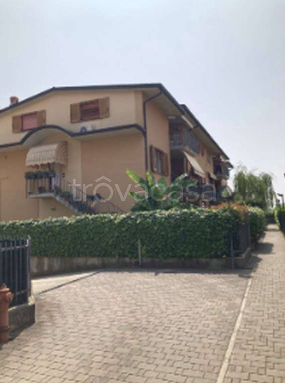 immagine annuncio 10 di 11