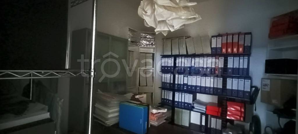 immagine annuncio 12 di 14