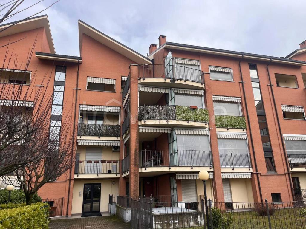 immagine annuncio 5 di 15