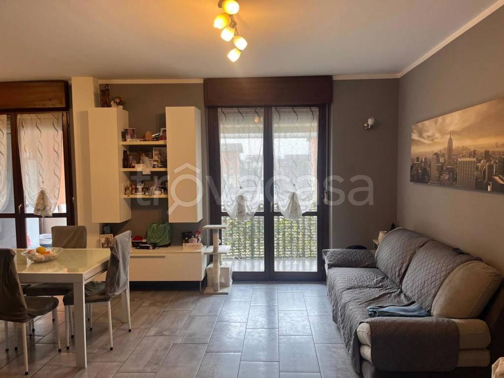 immagine annuncio 10 di 15