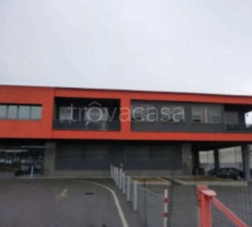 immagine annuncio 1 di 11