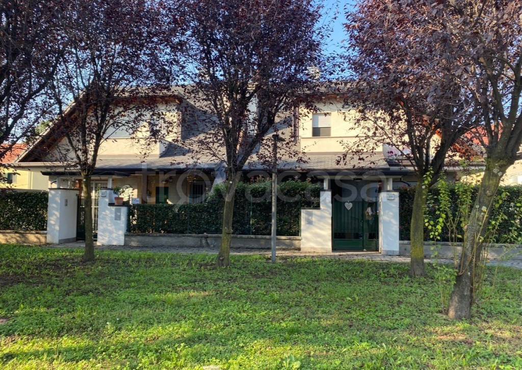 immagine annuncio 1 di 2