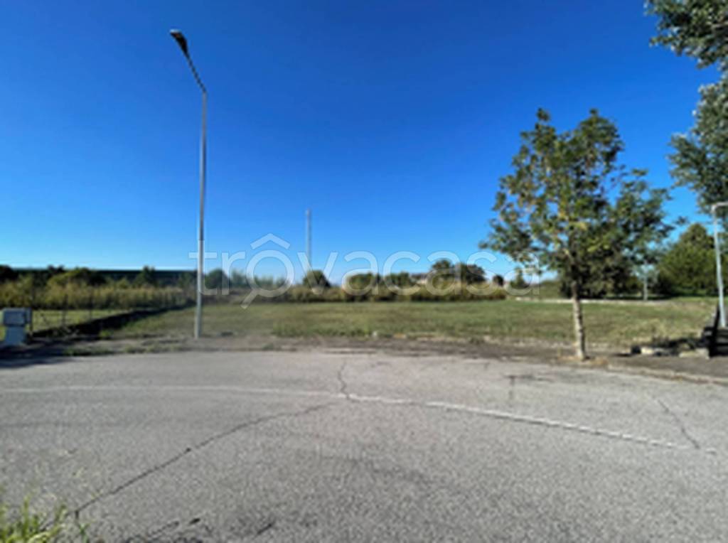 immagine annuncio 9 di 11