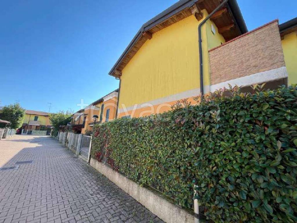 immagine annuncio 5 di 15