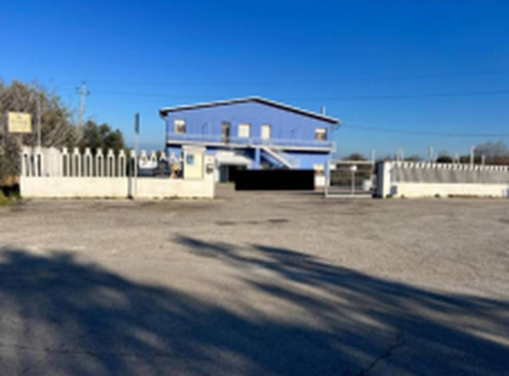 immagine annuncio 7 di 11