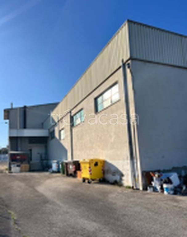 immagine annuncio 8 di 11